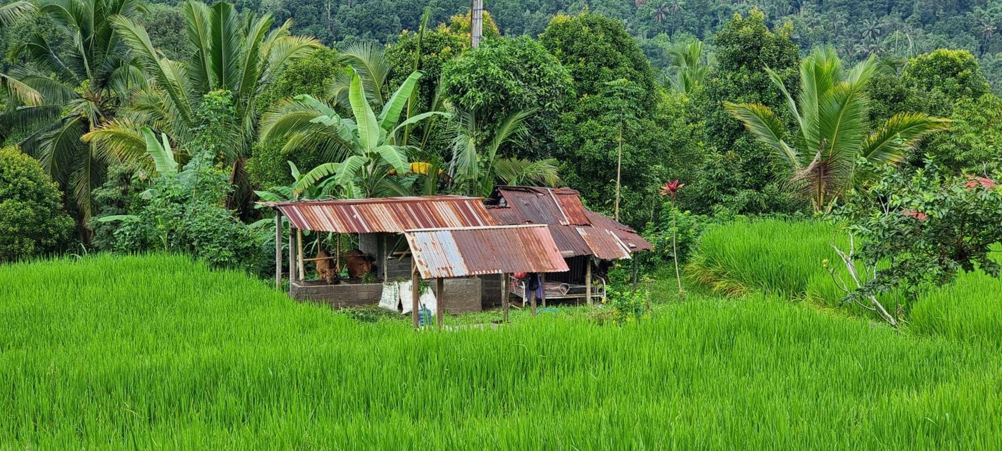 Вилла Utopiaku - Munduk Highlands Экстерьер фото